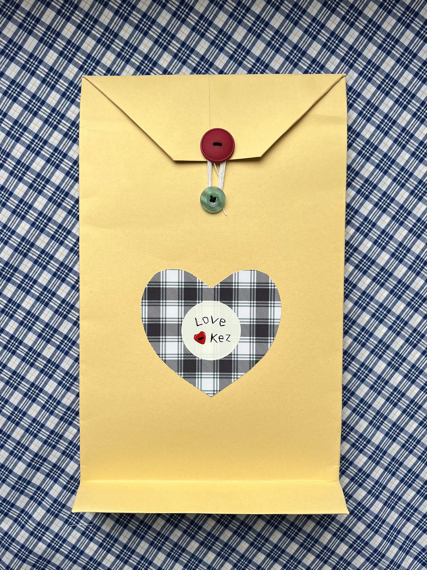 The OG Top Pattern Kit - Blue Plaid